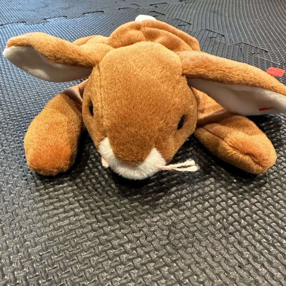5/$30 - Beanie Baby - Ears